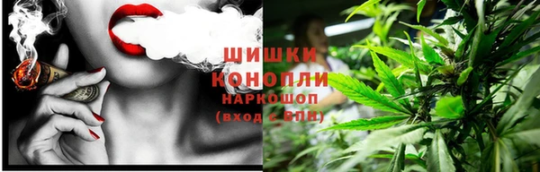 стаф Нефтекумск