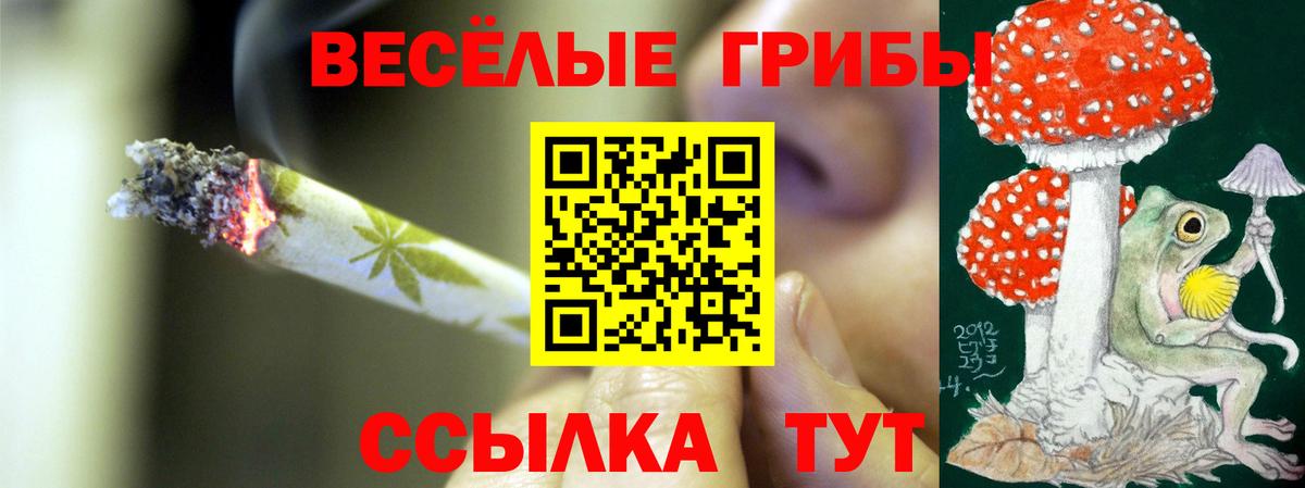 Псилоцибиновые грибы Cubensis  Вход с VPN  Челябинск  Галлюциногенные грибы мухоморы 